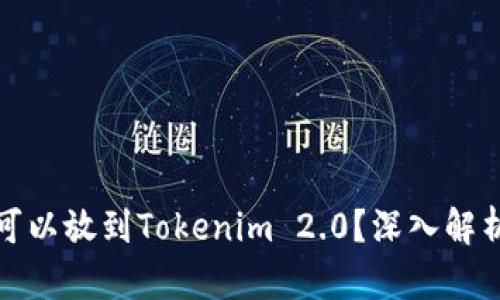 狗狗币是否可以放到Tokenim 2.0？深入解析与投资建议
