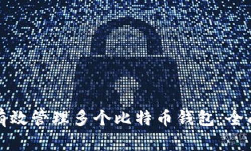 如何有效管理多个比特币钱包：全面指南