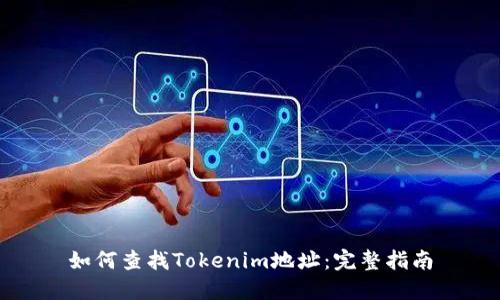 如何查找Tokenim地址：完整指南