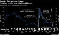 如何在Tokenim 2.0中添加BS