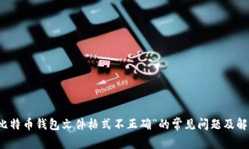 解决“比特币钱包文件格式不正确”的常见问题及解决方案