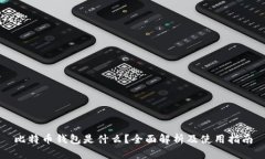 比特币钱包是什么？全面