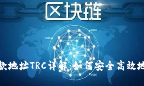 Tokenim 2.0收款地址TRC详解：如何安全高效地使用TRC20收款
