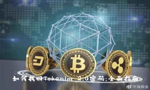 如何找回Tokenim 2.0密码：全面指南
