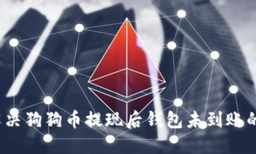如何解决狗狗币提现后钱包未到账的问题？