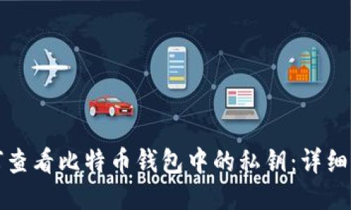如何查看比特币钱包中的私钥：详细指南