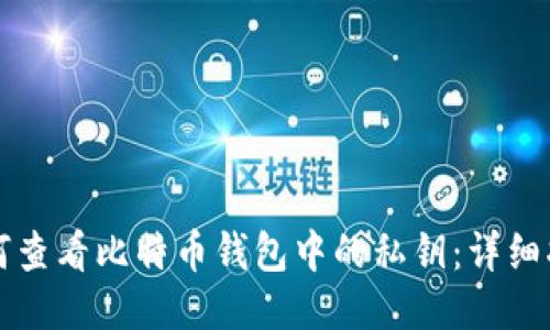 如何查看比特币钱包中的私钥：详细指南