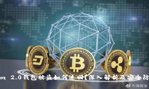 Tokenim 2.0钱包被盗如何追回？深入解析及安全防护建议