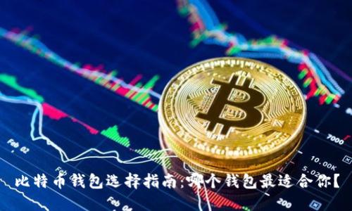 比特币钱包选择指南：哪个钱包最适合你？