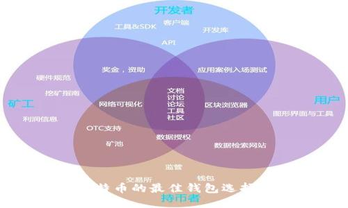 发送小额比特币的最佳钱包选择与使用指南