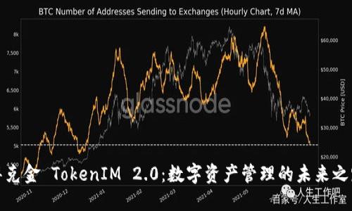 华克金 TokenIM 2.0：数字资产管理的未来之路