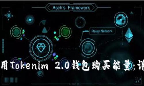 如何使用Tokenim 2.0钱包购买能量：详细指南