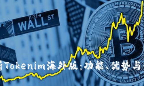 深入解析Tokenim海外版：功能、优势与使用指南