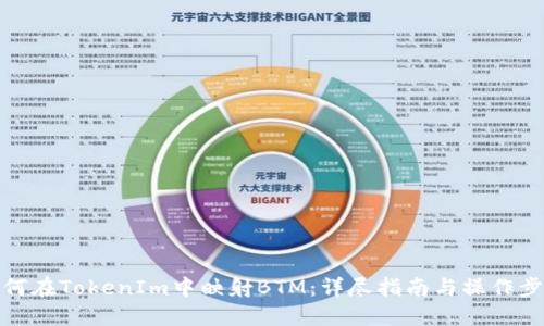 如何在TokenIm中映射BTM：详尽指南与操作步骤