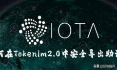 如何在Tokenim2.0中安全导出