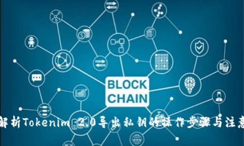 全面解析Tokenim 2.0导出私钥的操作步骤与注意事项