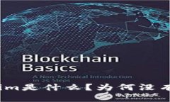 Tokenim是什么？为何没有开源？